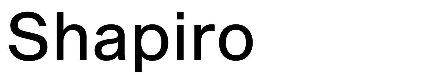 Shapiro by OGJ Type